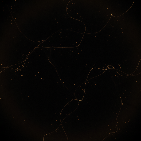 [Soul Hunt Weekly] The Credential Is the Infrastructure
